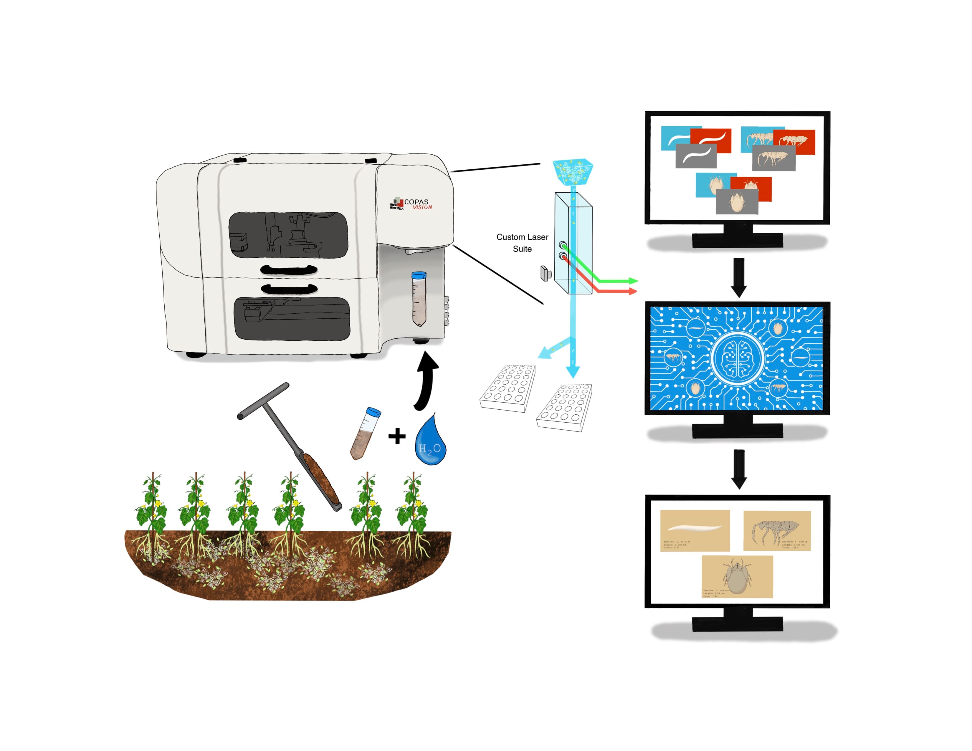 Smart Soil Organism Detector