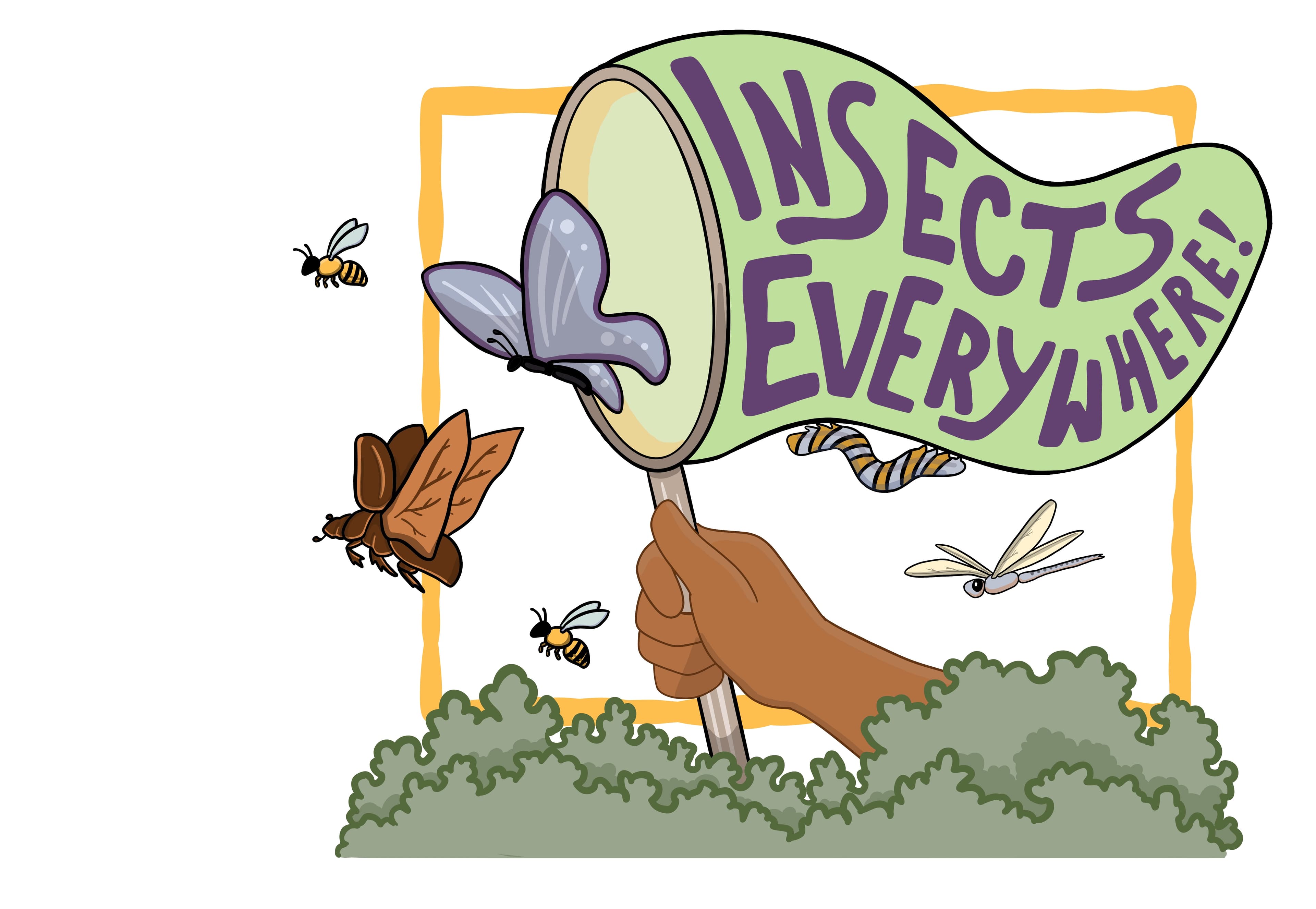 Insects Everywhere