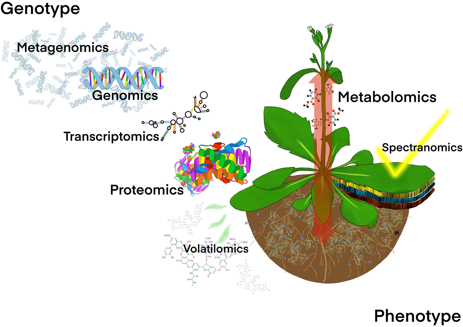 A multi-omics approach to solving problems in plant disease ecology