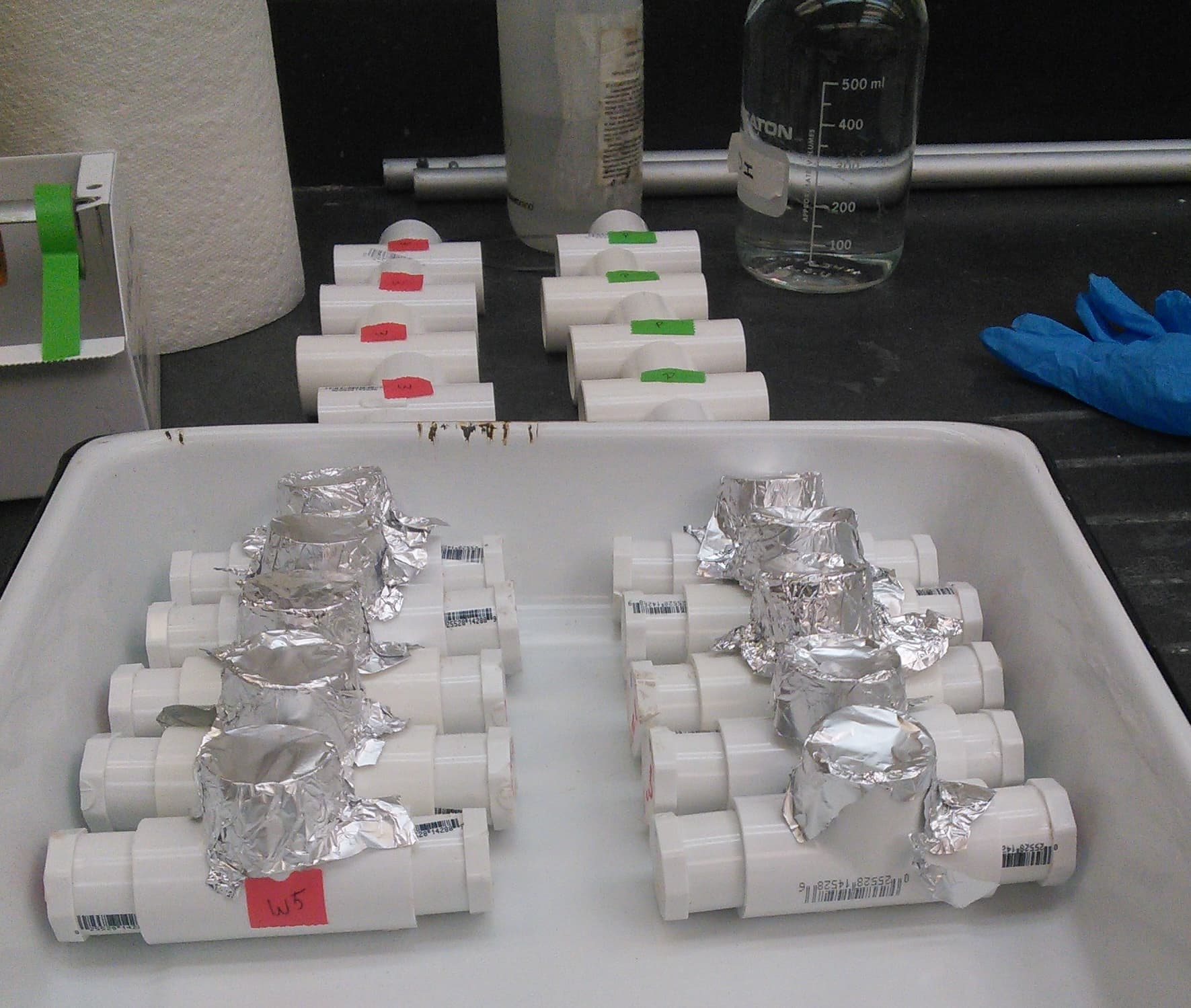 Nematode Behavior