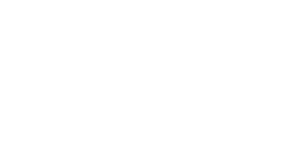 Burroughs Wellcome Fund